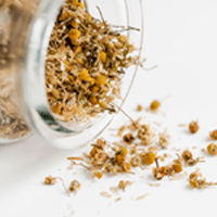 Acne for Chamomile